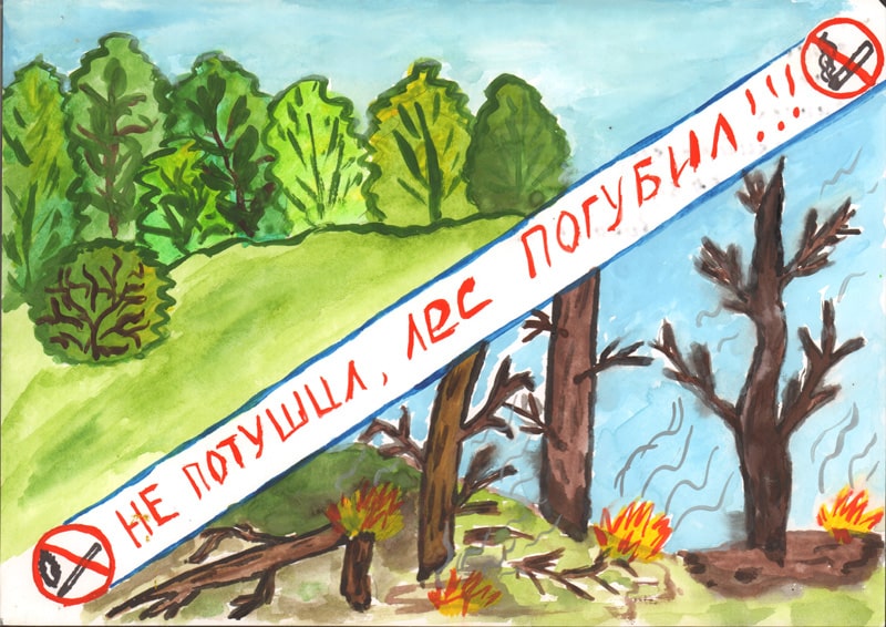 Берегите лес! Вантеев Дмитрий, 11 лет