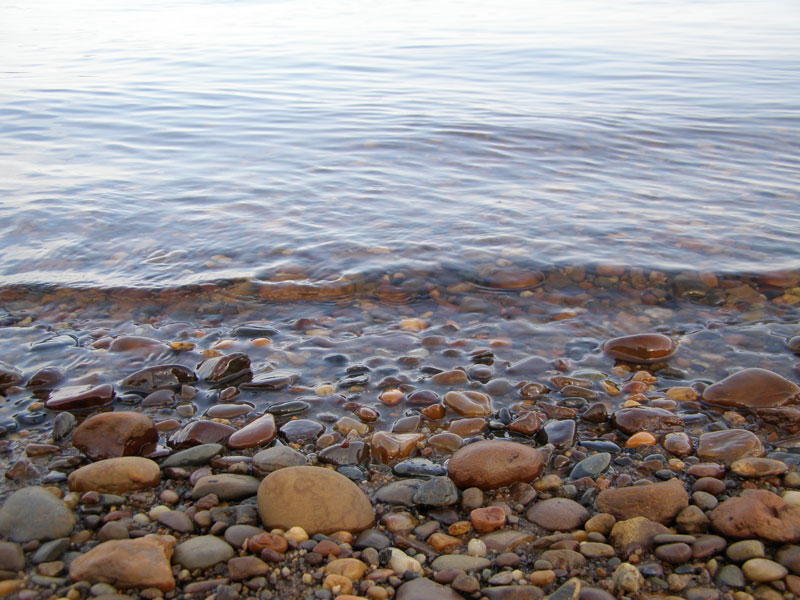Енисей с берега. Фото М. Рубцовой
