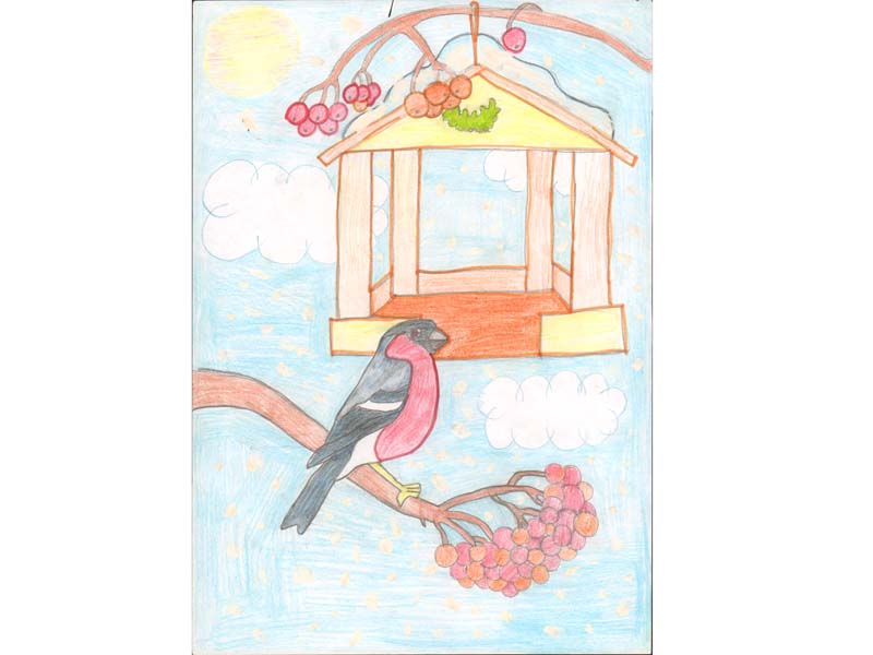 Мария Мальченко 9 лет - Покормите птиц
