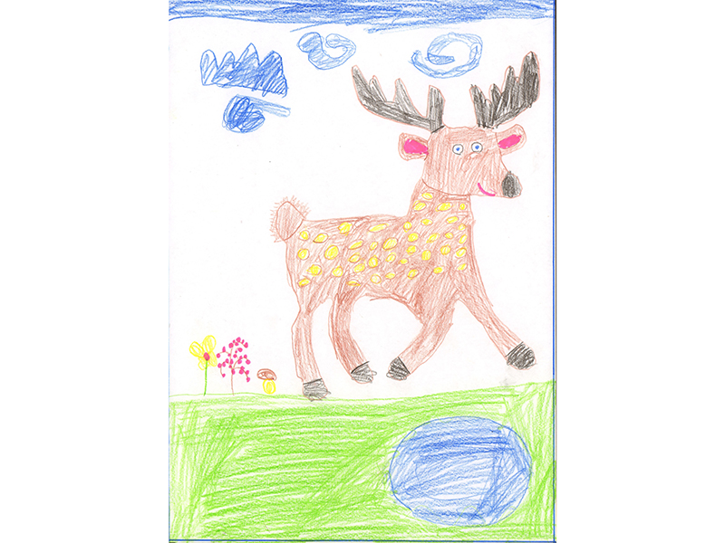 Северный олень, Семенюк Юлия, 6 лет