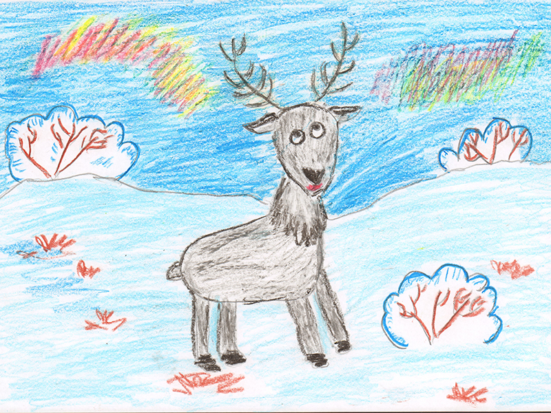 Чудо природы - северный олень, Гольцев Константин, 6 лет