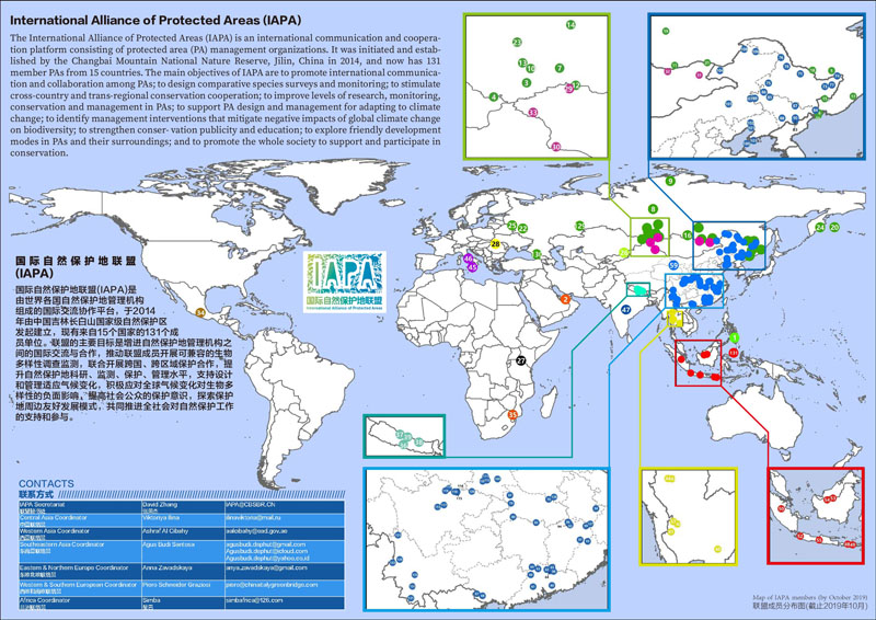 Карта IAPA